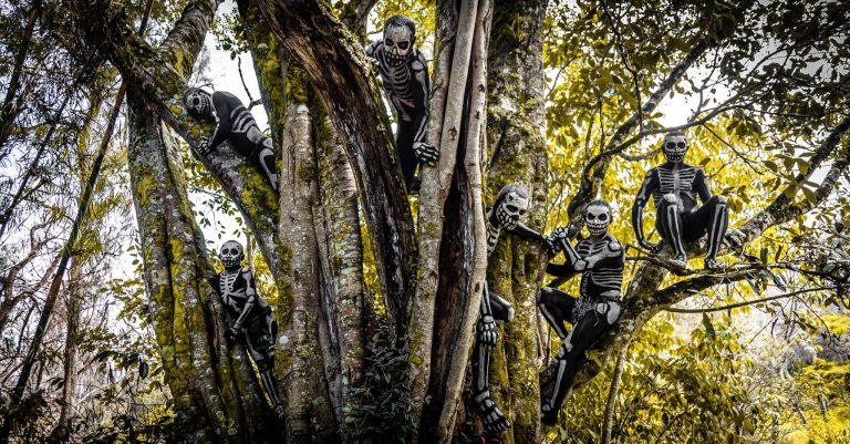 242324727_102352875550092_7272148883410366001_n