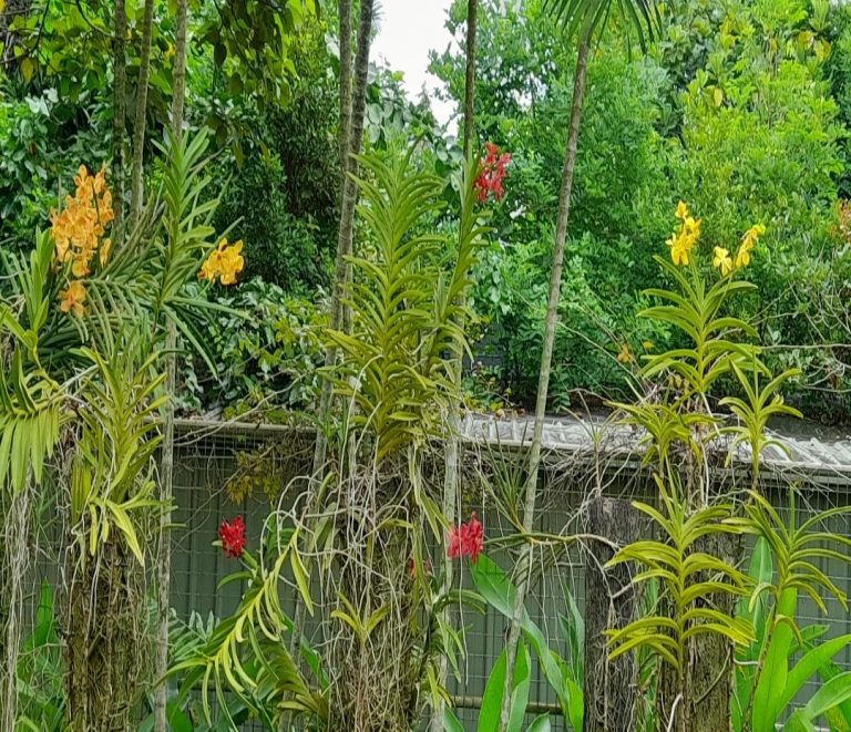 IMG-20241202-WA0004 (2)